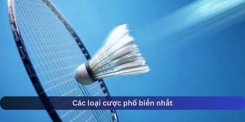 Những loại cược cầu lông phổ biến nhất