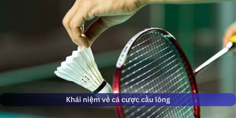 Khái niệm tổng quan nhất về cá cược cầu lông là gì