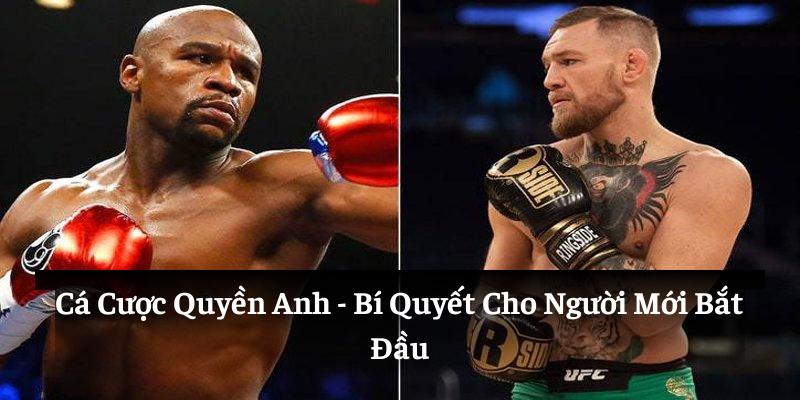 Cá cược quyền anh, bí quyết cho người mới bắt đầu