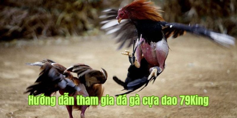 Lý do chọi kê cựa dao được đông đảo người chơi đón nhận